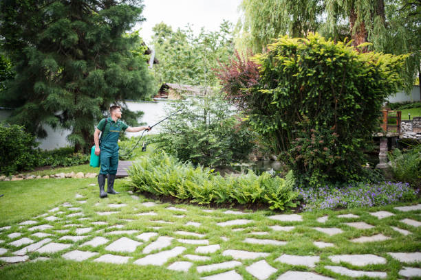 Best Local Pest Control Services  in Kings Point, NY