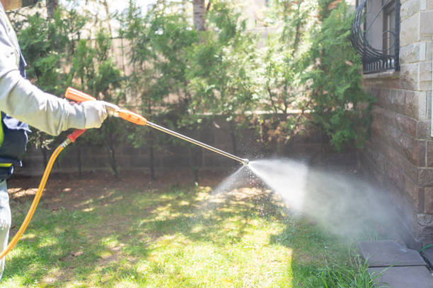 Best Wasp Removal Services  in Kings Point, NY
