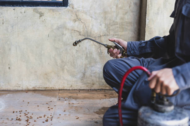 Best Mosquito Control Services  in Kings Point, NY